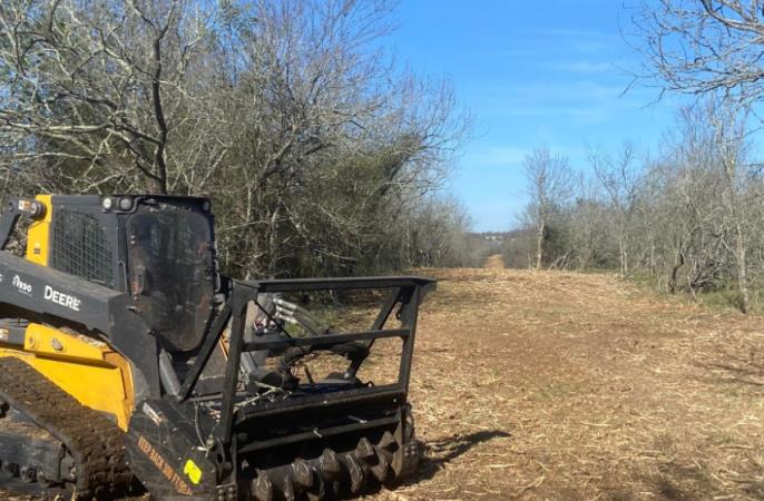 Diamond Dean Land Management: Service Image-1 Diamond Dean Land Management: Service Image-1