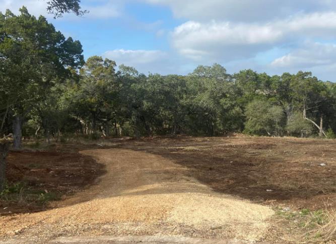 Diamond Dean Land Management: Service Image-3