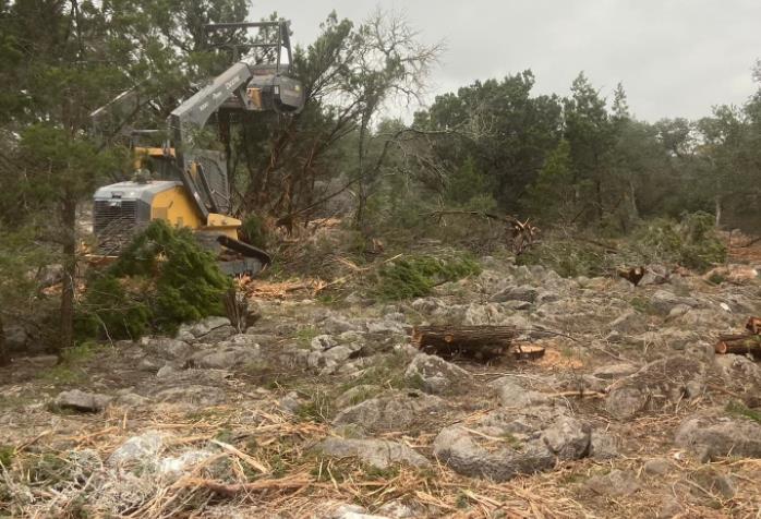 Diamond Dean Land Management: Service Image-5 Diamond Dean Land Management: Service Image-5