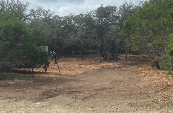 Diamond Dean Land Management: Service Image-6